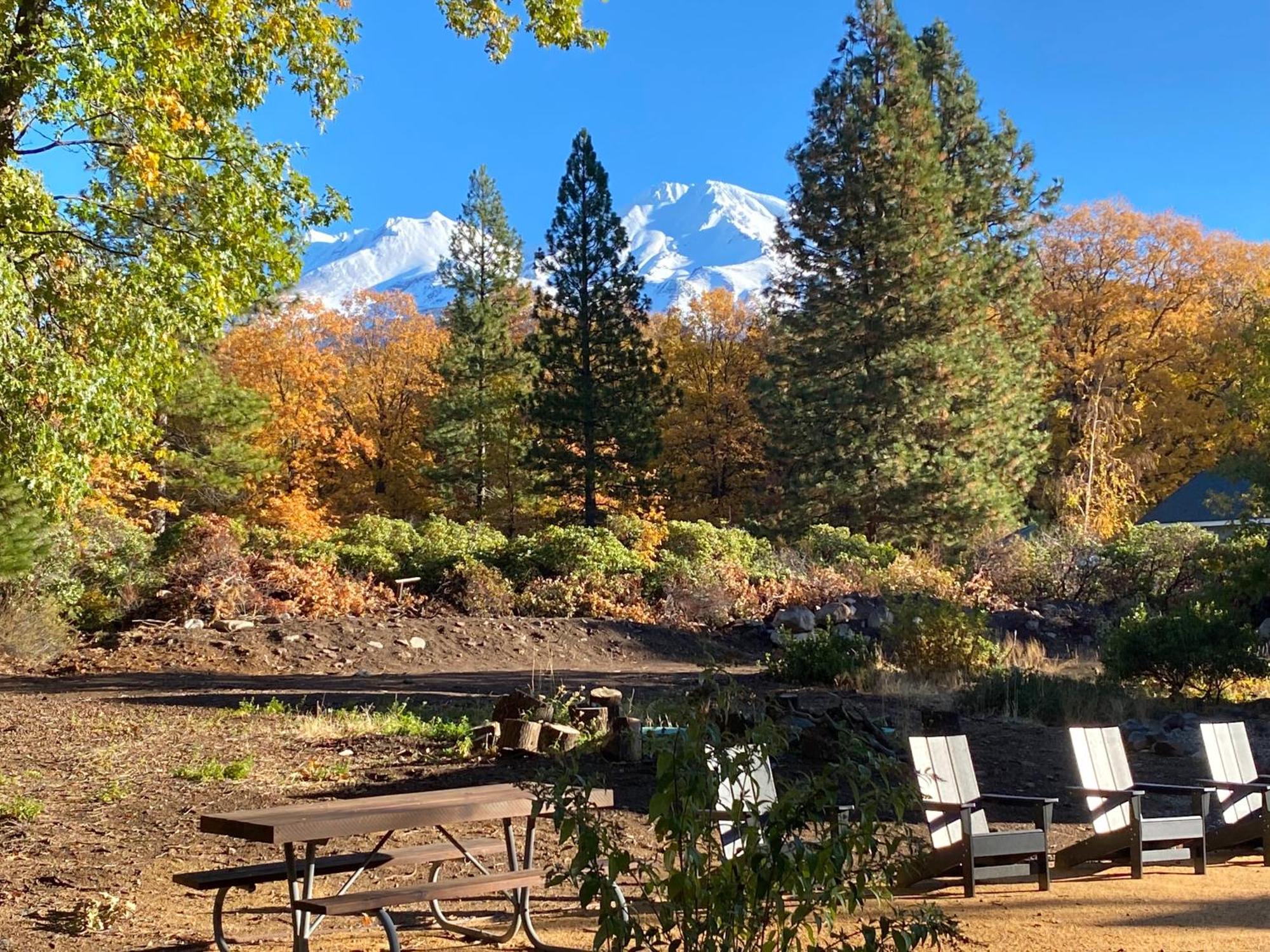 Basecamp Lodge Mount Shasta Kültér fotó